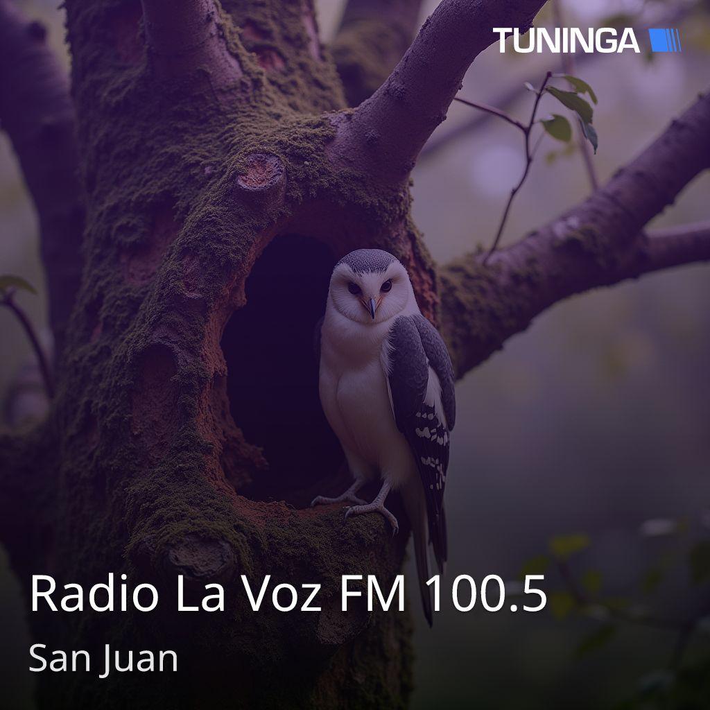 Radio La Voz FM 100.5