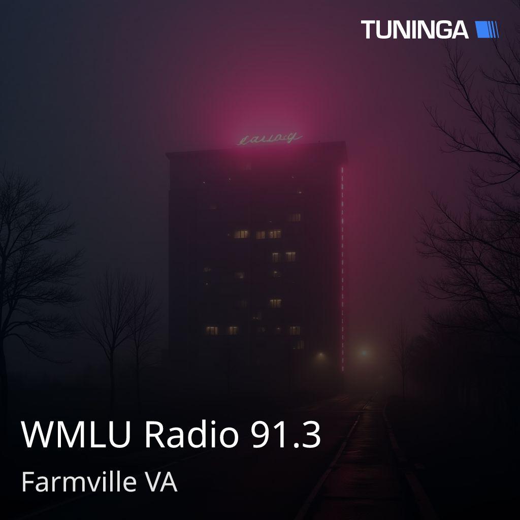 WMLU Radio 91.3