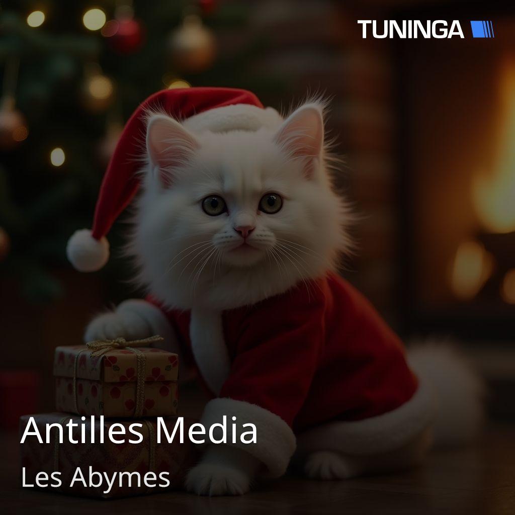 Antilles Media