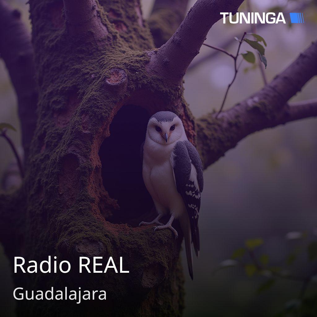 Radio REAL