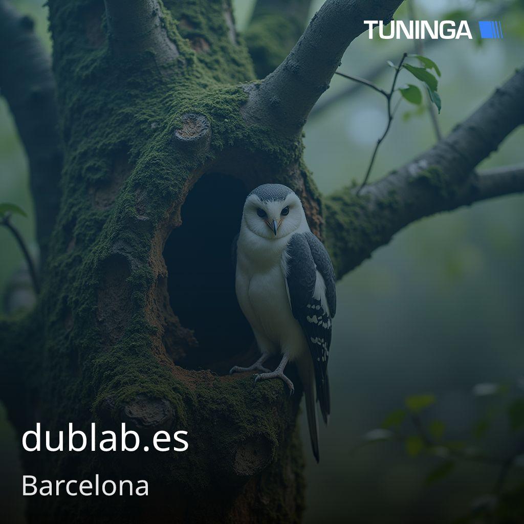 dublab.es