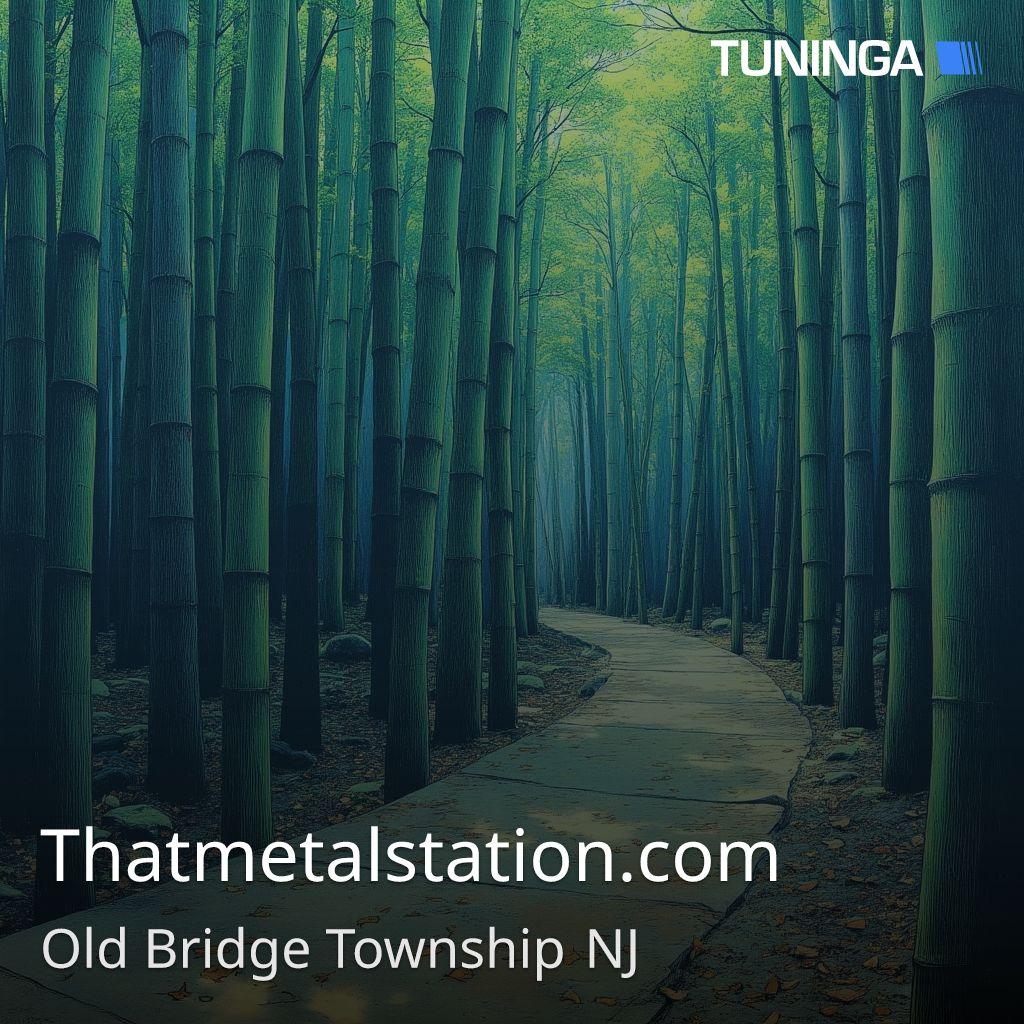 Thatmetalstation.com