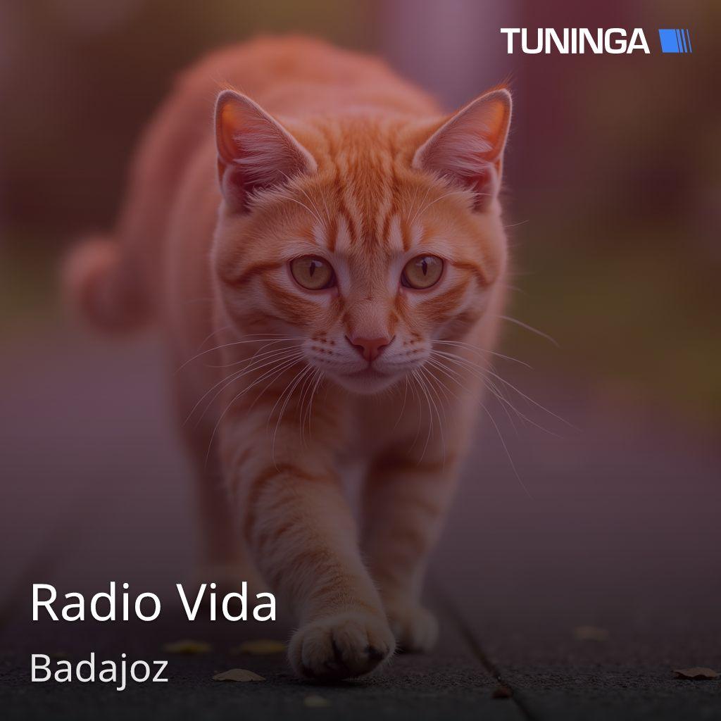 Radio Vida