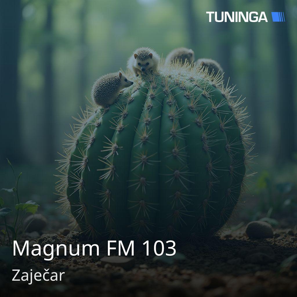 Magnum FM 103