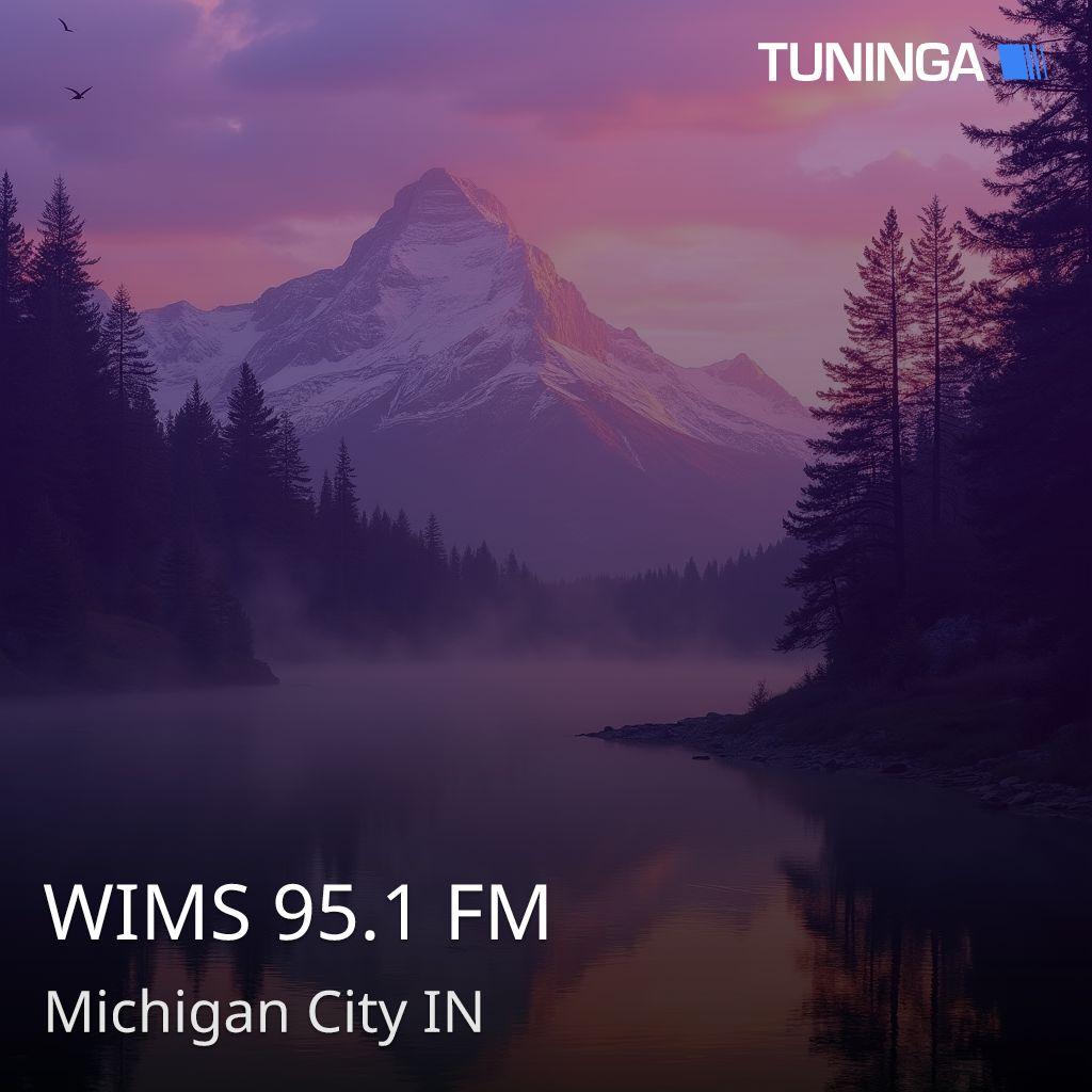 WIMS 95.1 FM