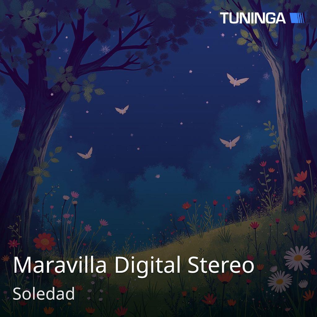Maravilla Digital Stereo