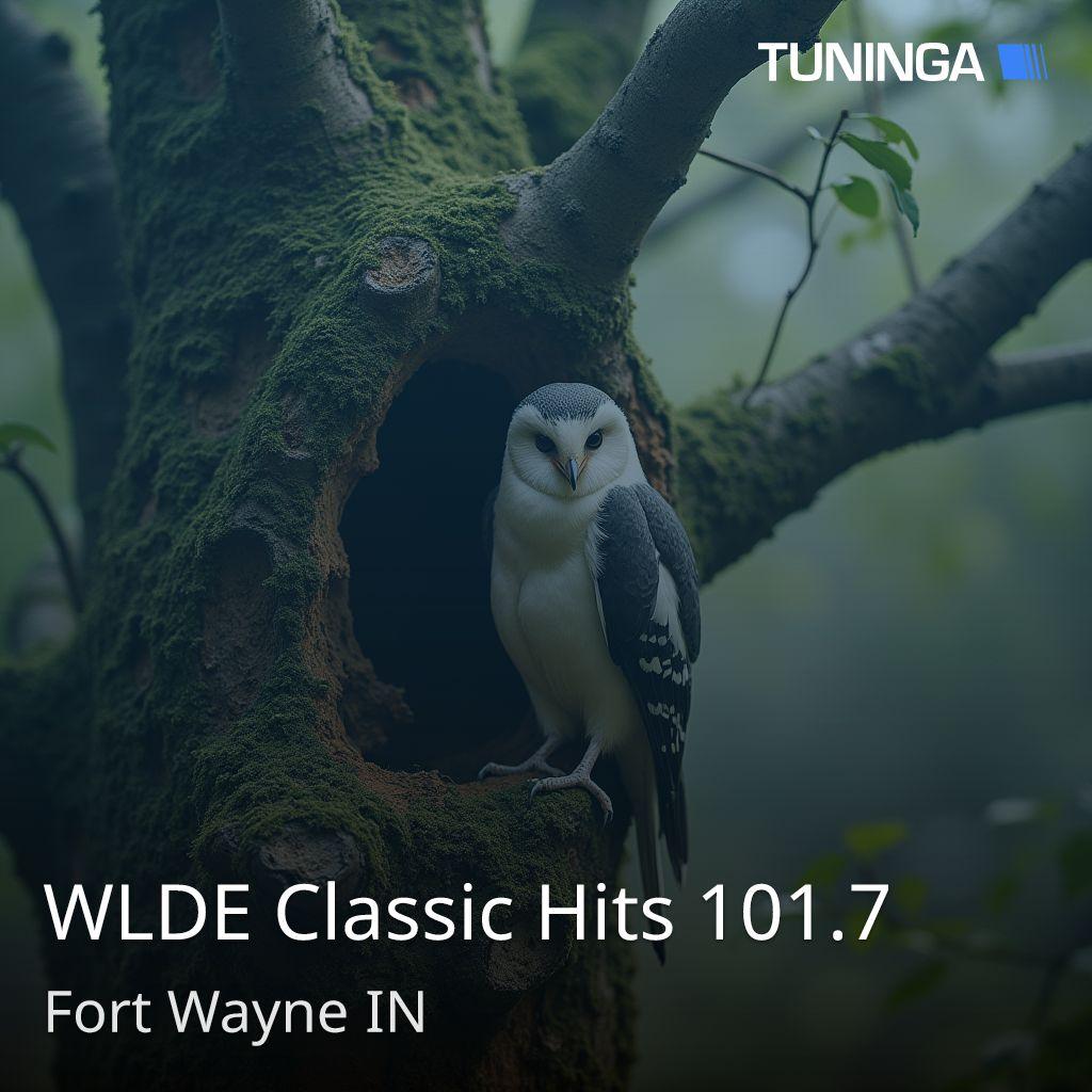 WLDE Classic Hits 101.7