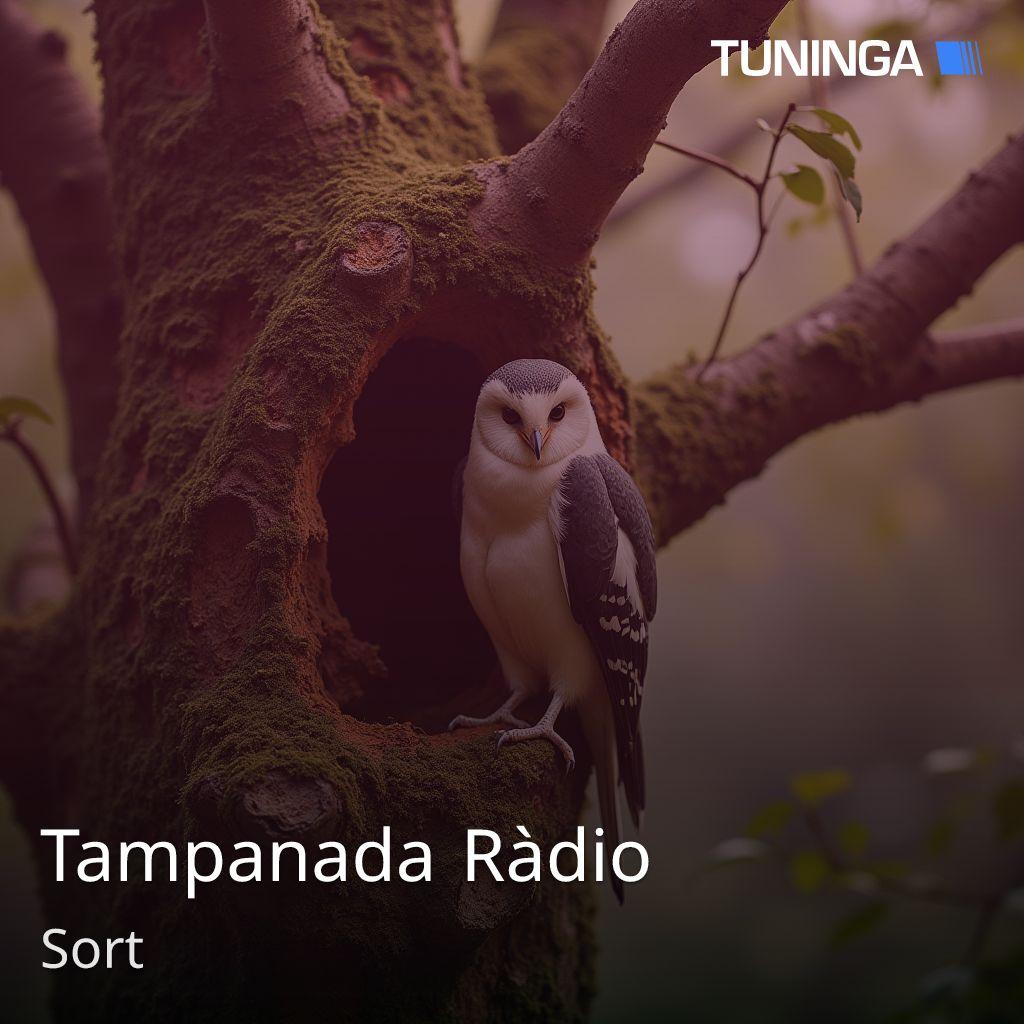 Tampanada Ràdio