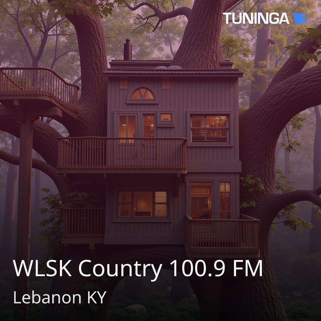 WLSK Country 100.9 FM