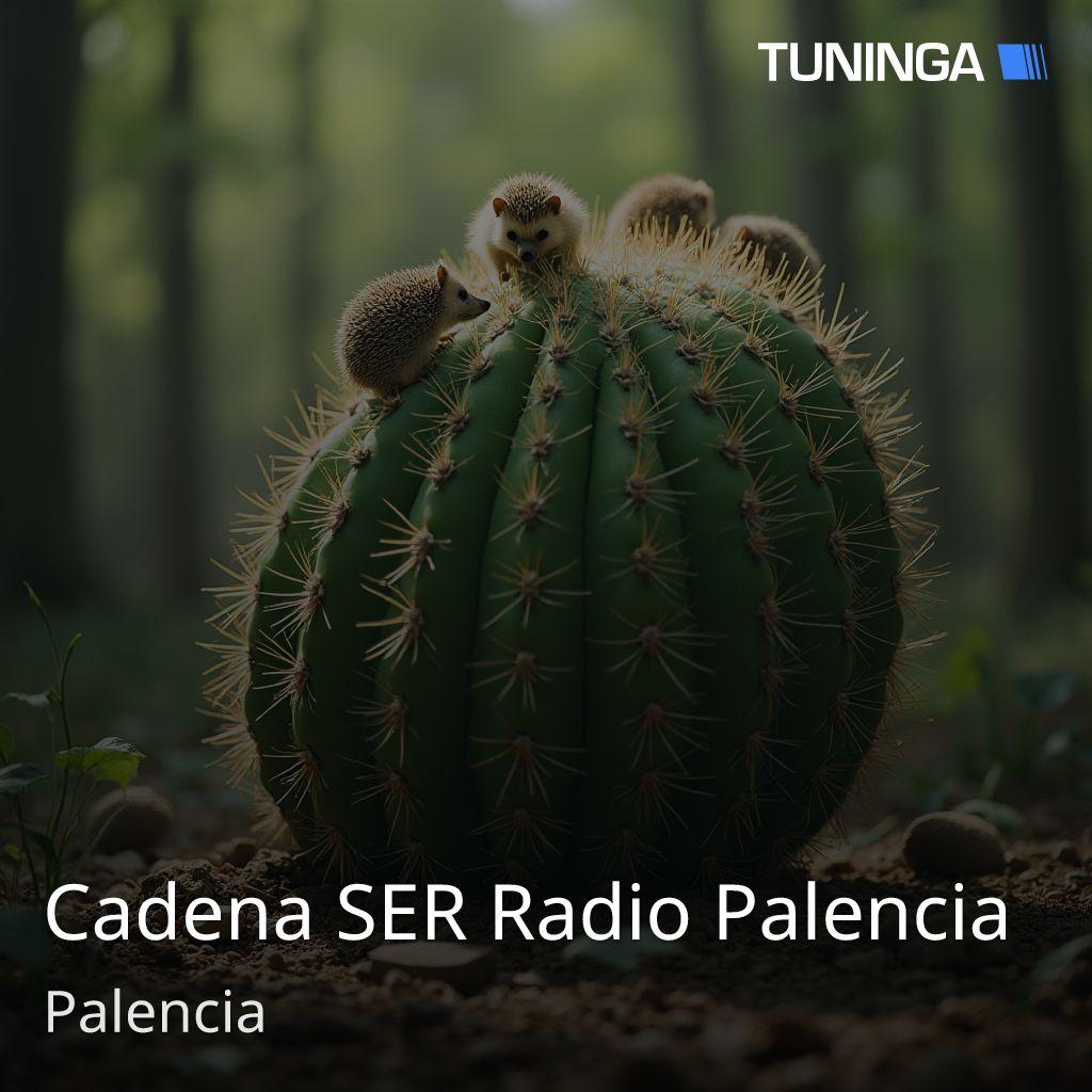 Cadena SER Radio Palencia