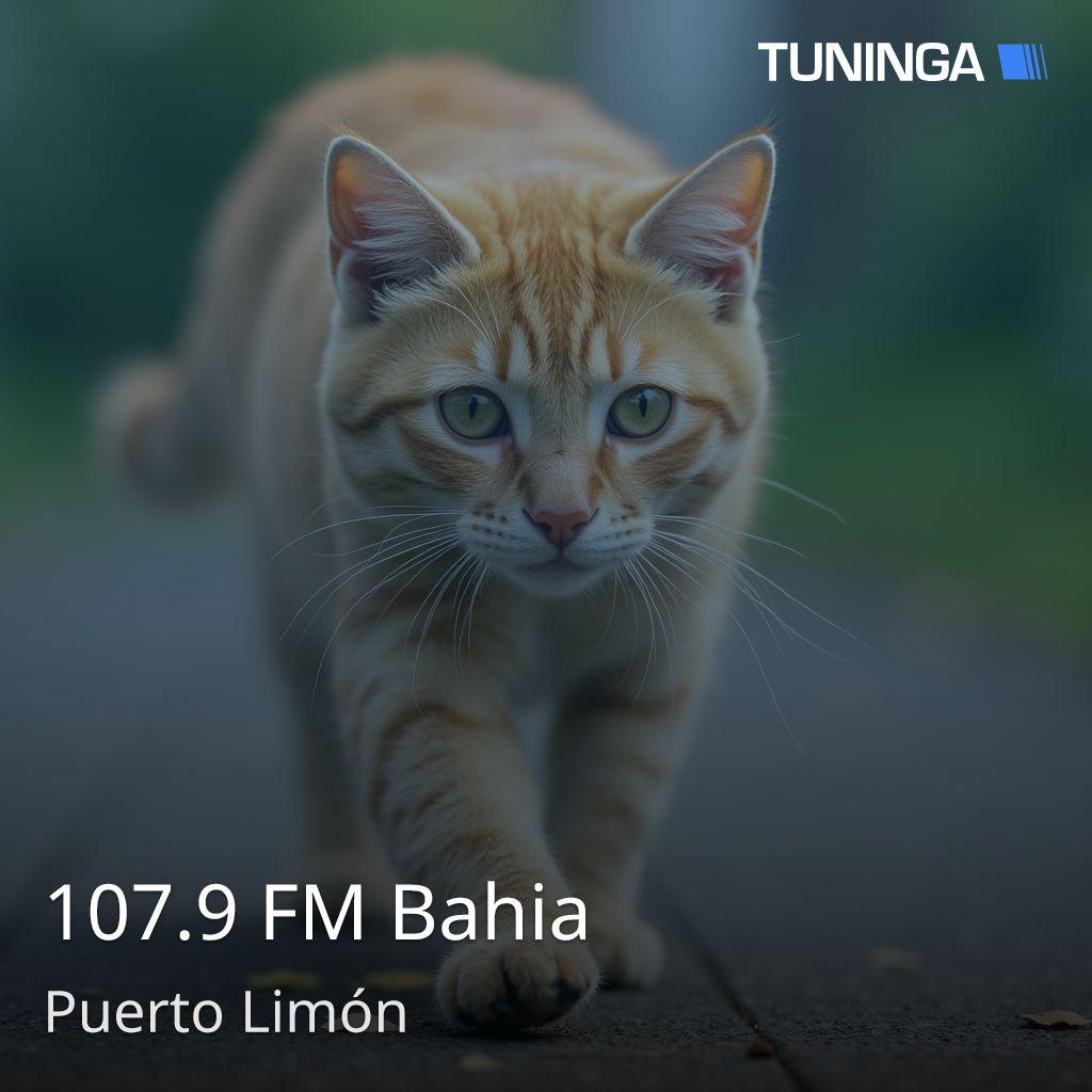 107.9 FM Bahia