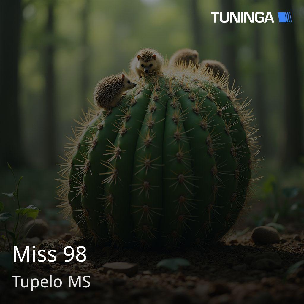 Miss 98