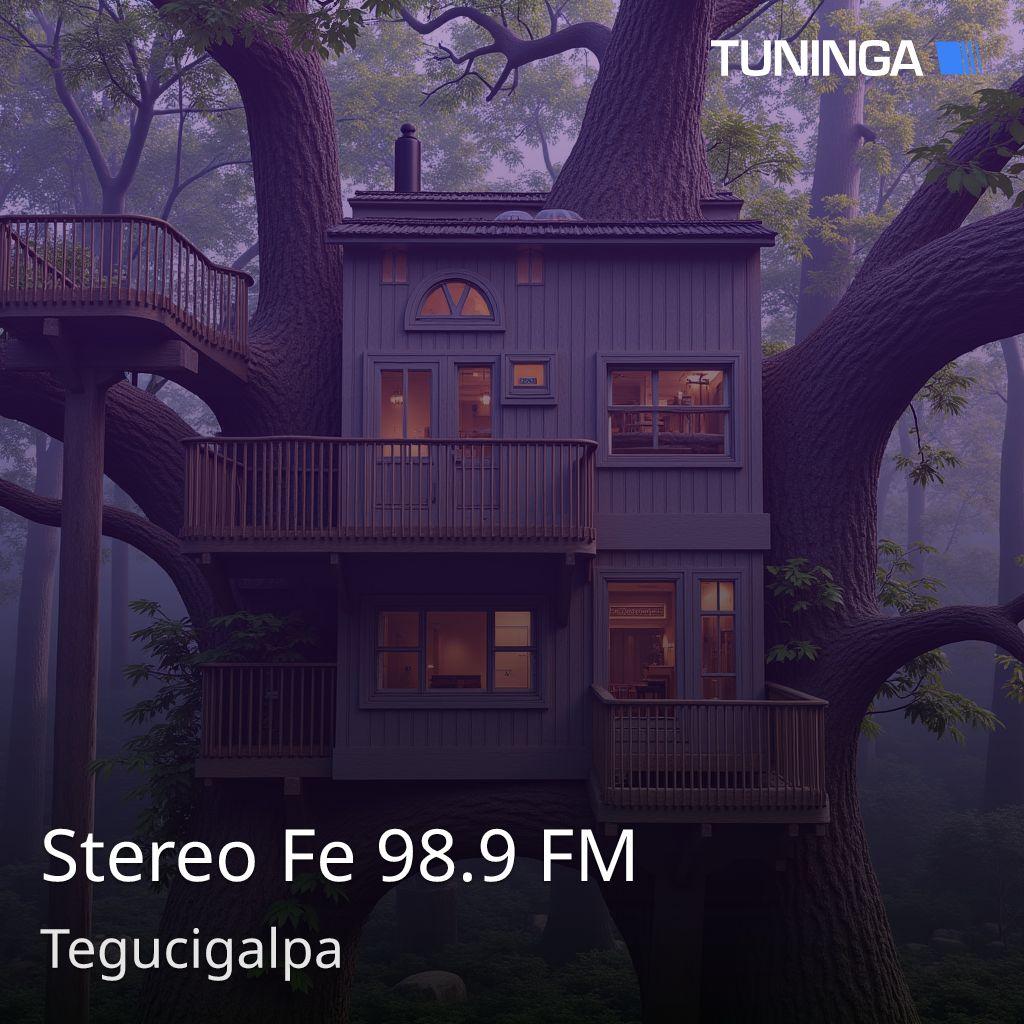 Stereo Fe 98.9 FM