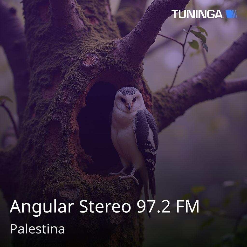 Angular Stereo 97.2 FM