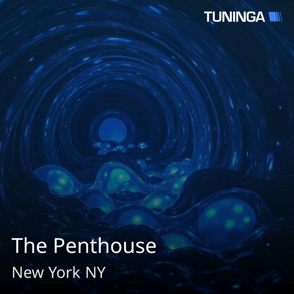 The Penthouse