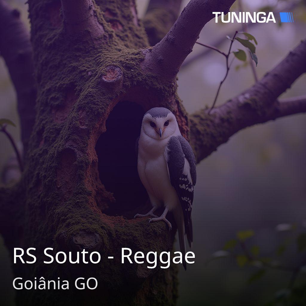 RS Souto - Reggae