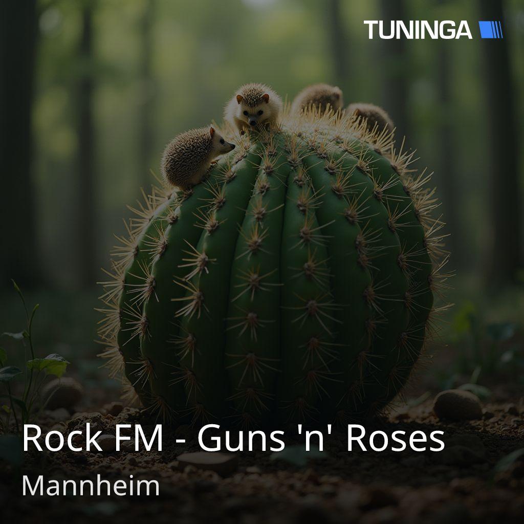 Rock FM - Guns 'n' Roses