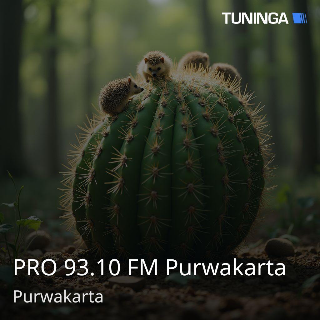 PRO 93.10 FM Purwakarta