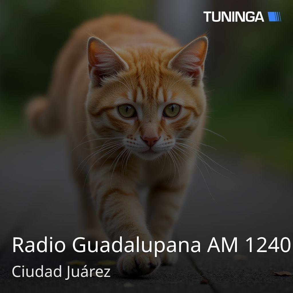 Radio Guadalupana AM 1240