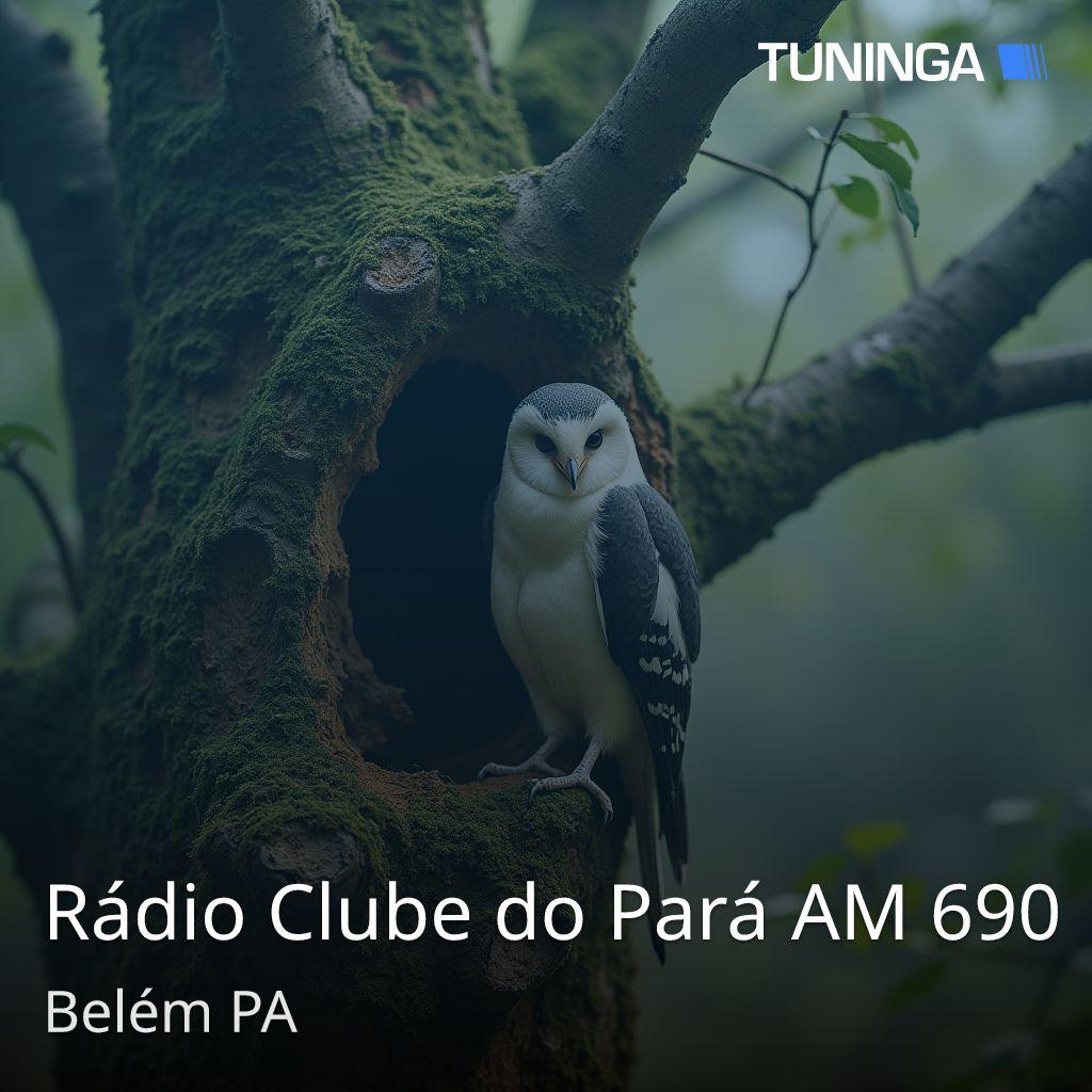 Rádio Clube do Pará AM 690