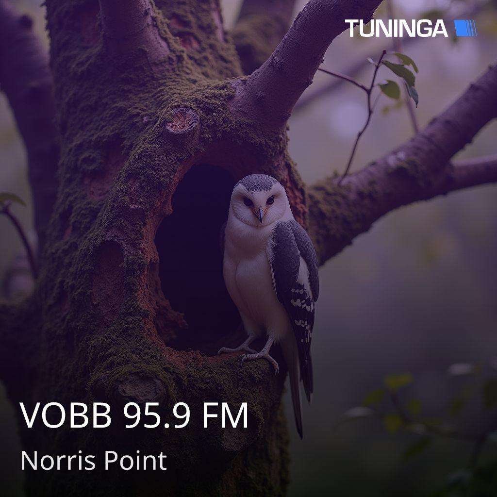 VOBB 95.9 FM