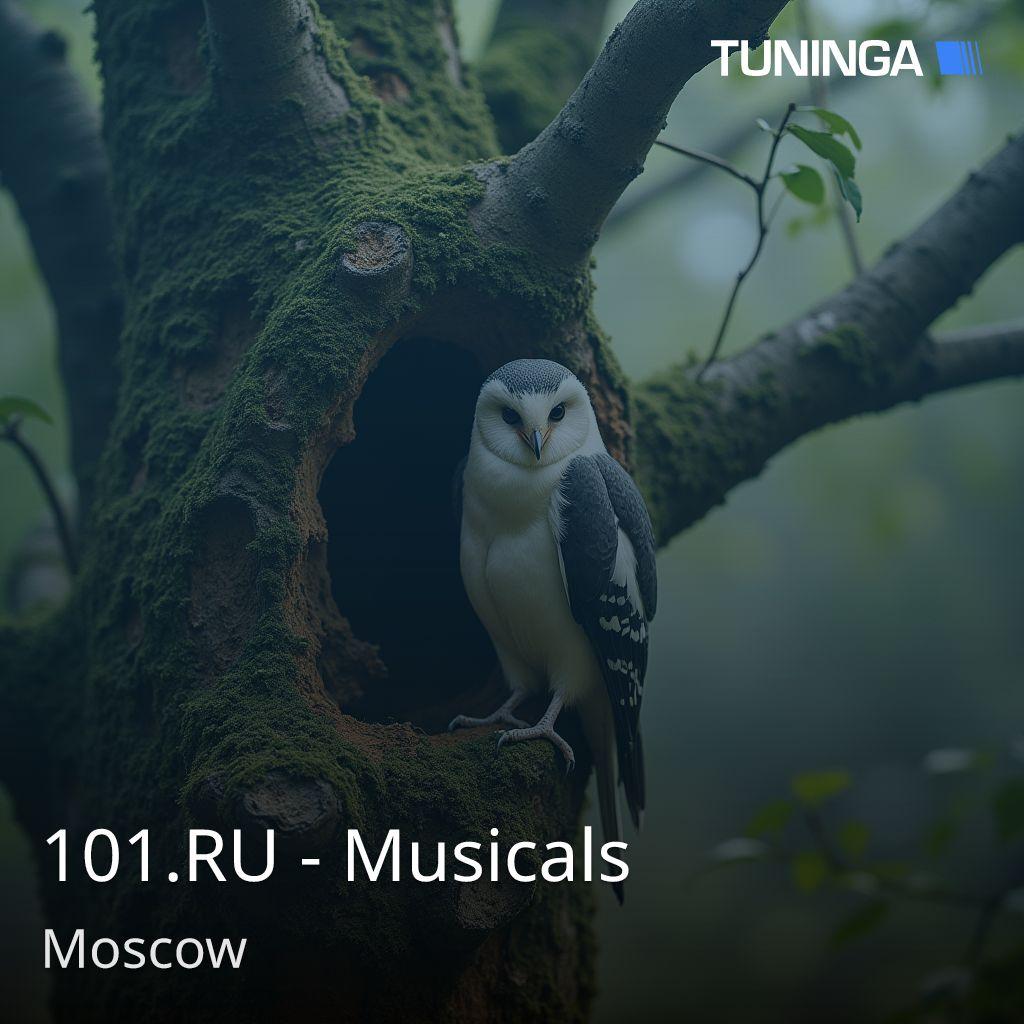 101.RU - Musicals