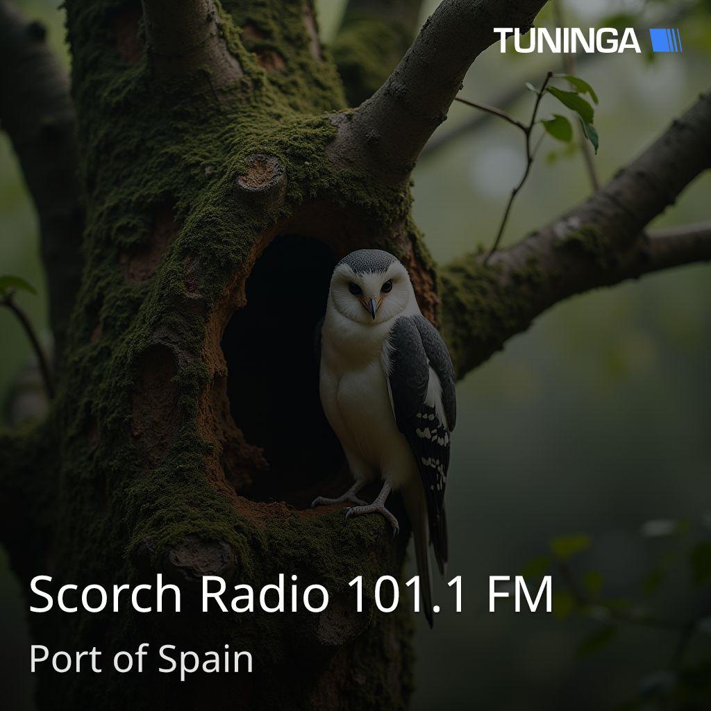 Scorch Radio 101.1 FM