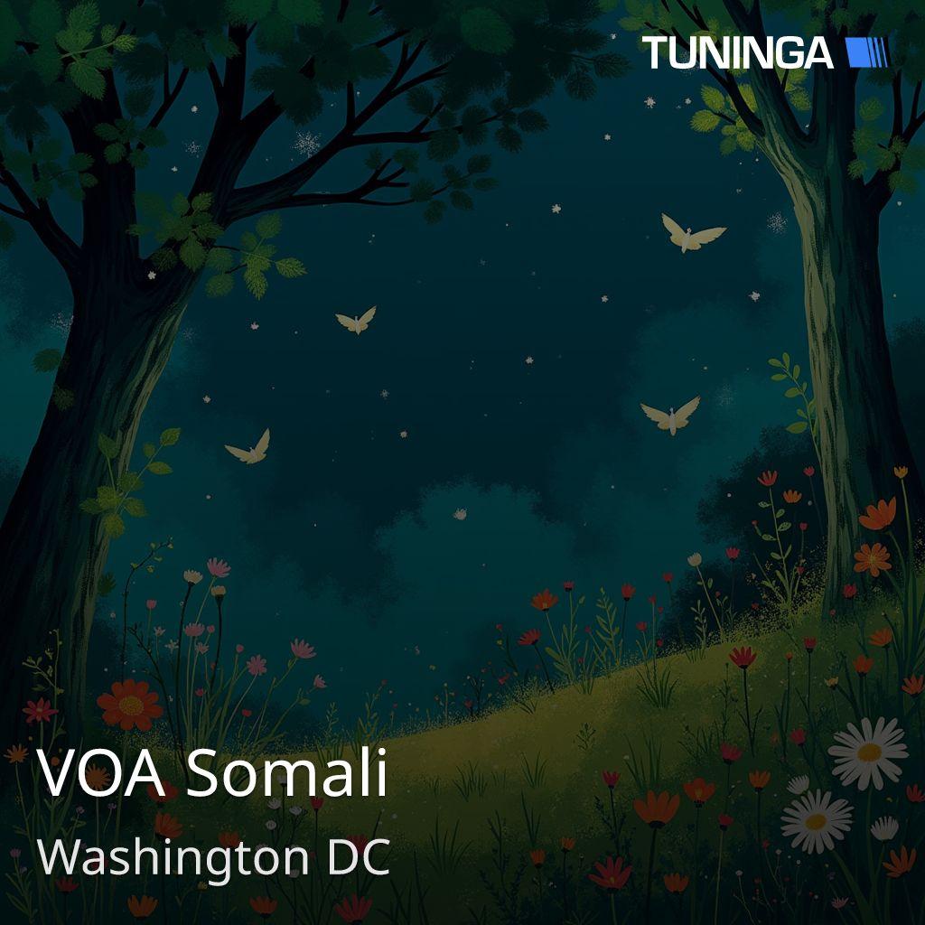 VOA Somali