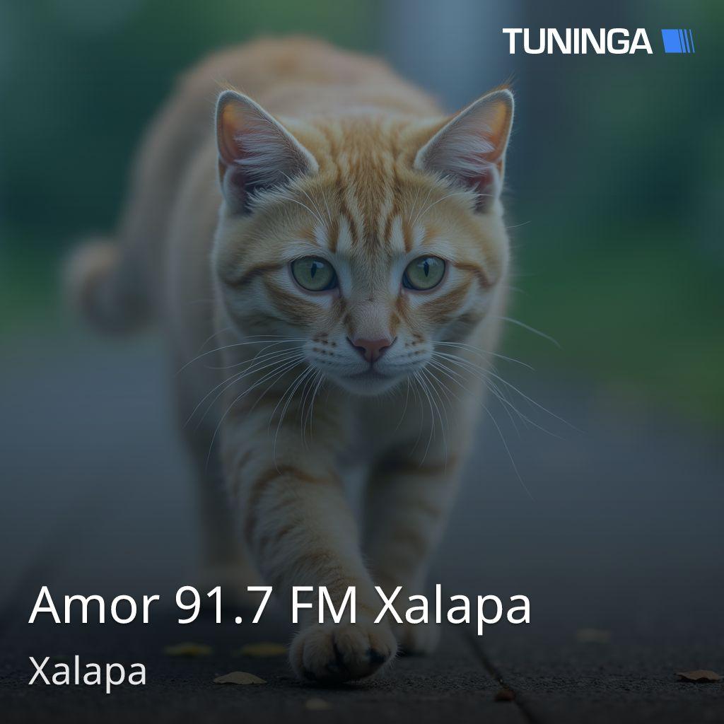 Amor 91.7 FM Xalapa