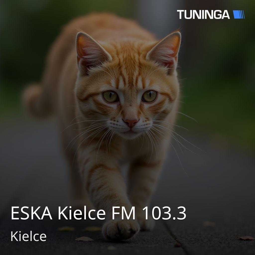 ESKA Kielce FM 103.3