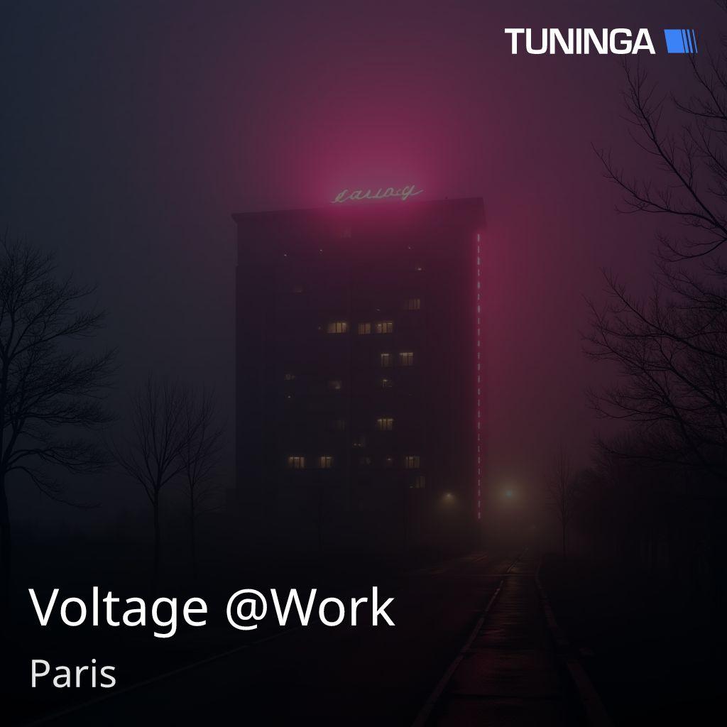 Voltage @Work