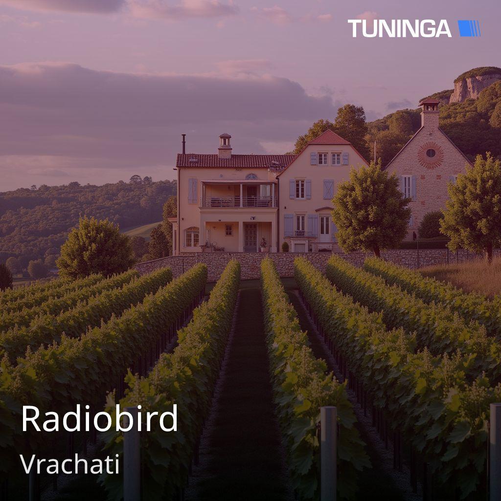 Radiobird