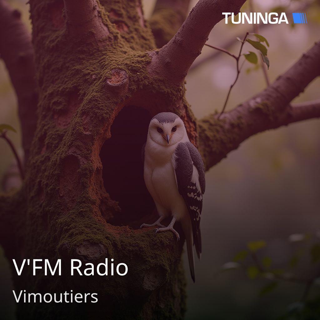 V'FM Radio