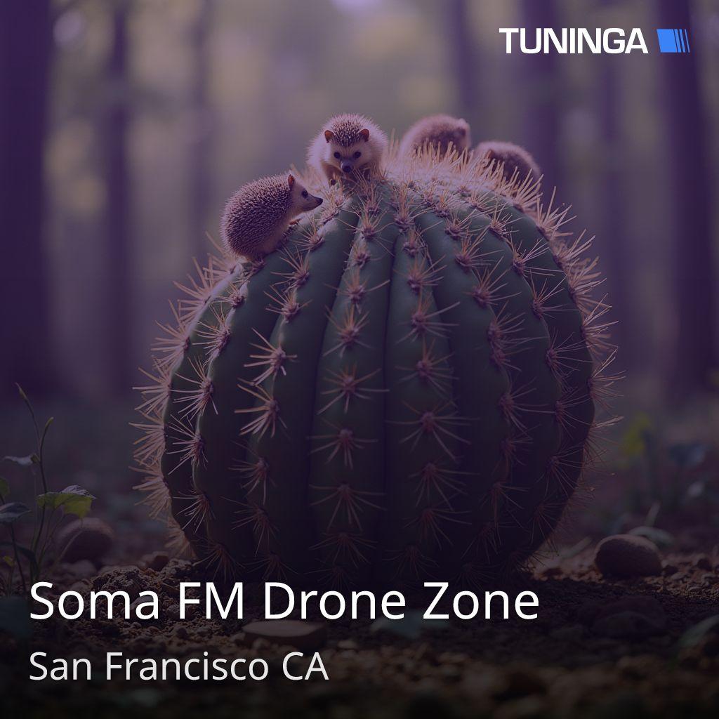 Soma FM Drone Zone