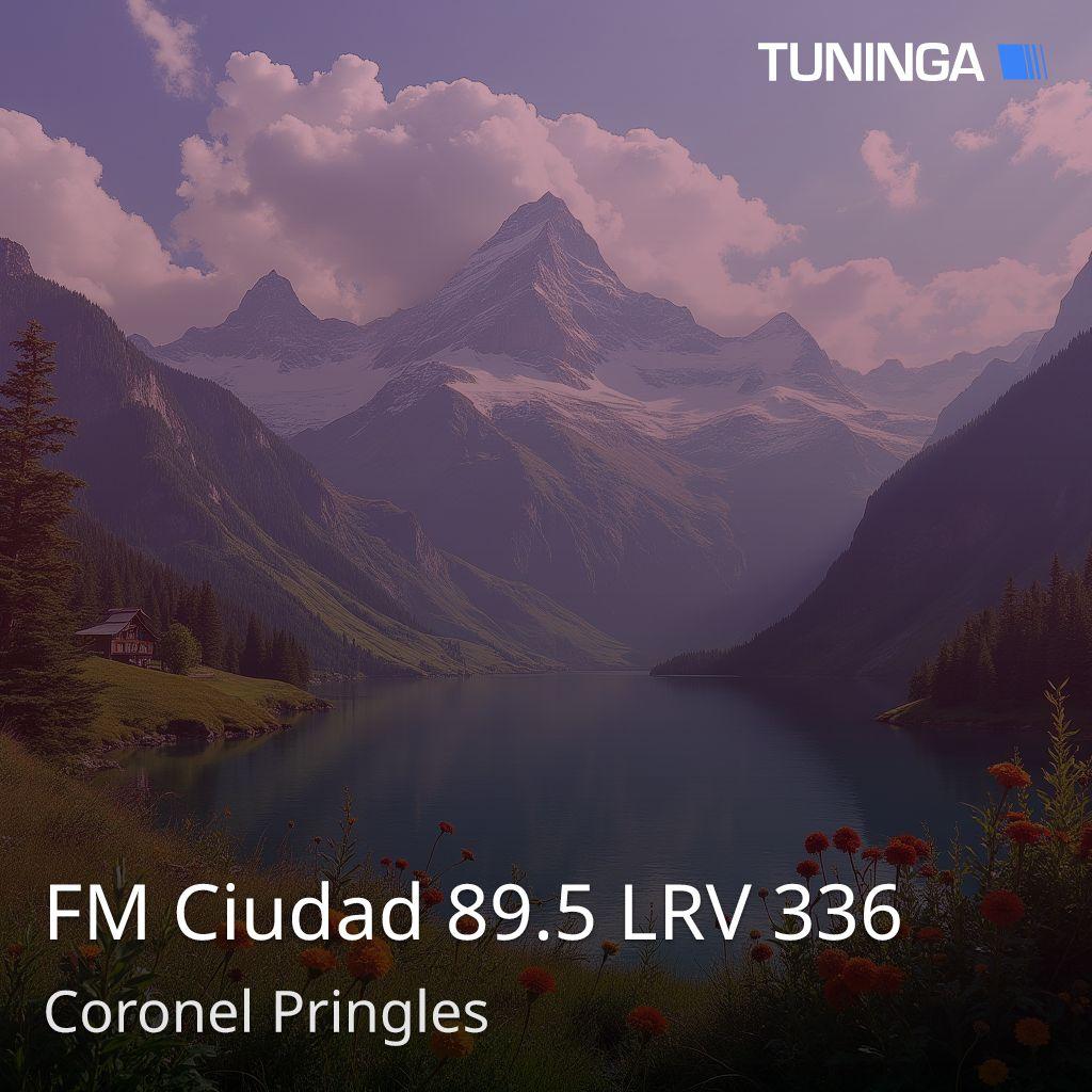 FM Ciudad 89.5 LRV 336