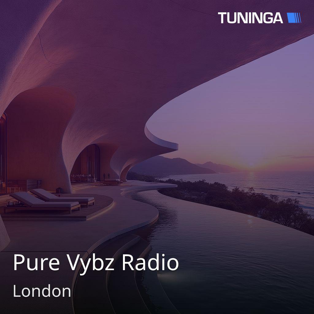 Pure Vybz Radio