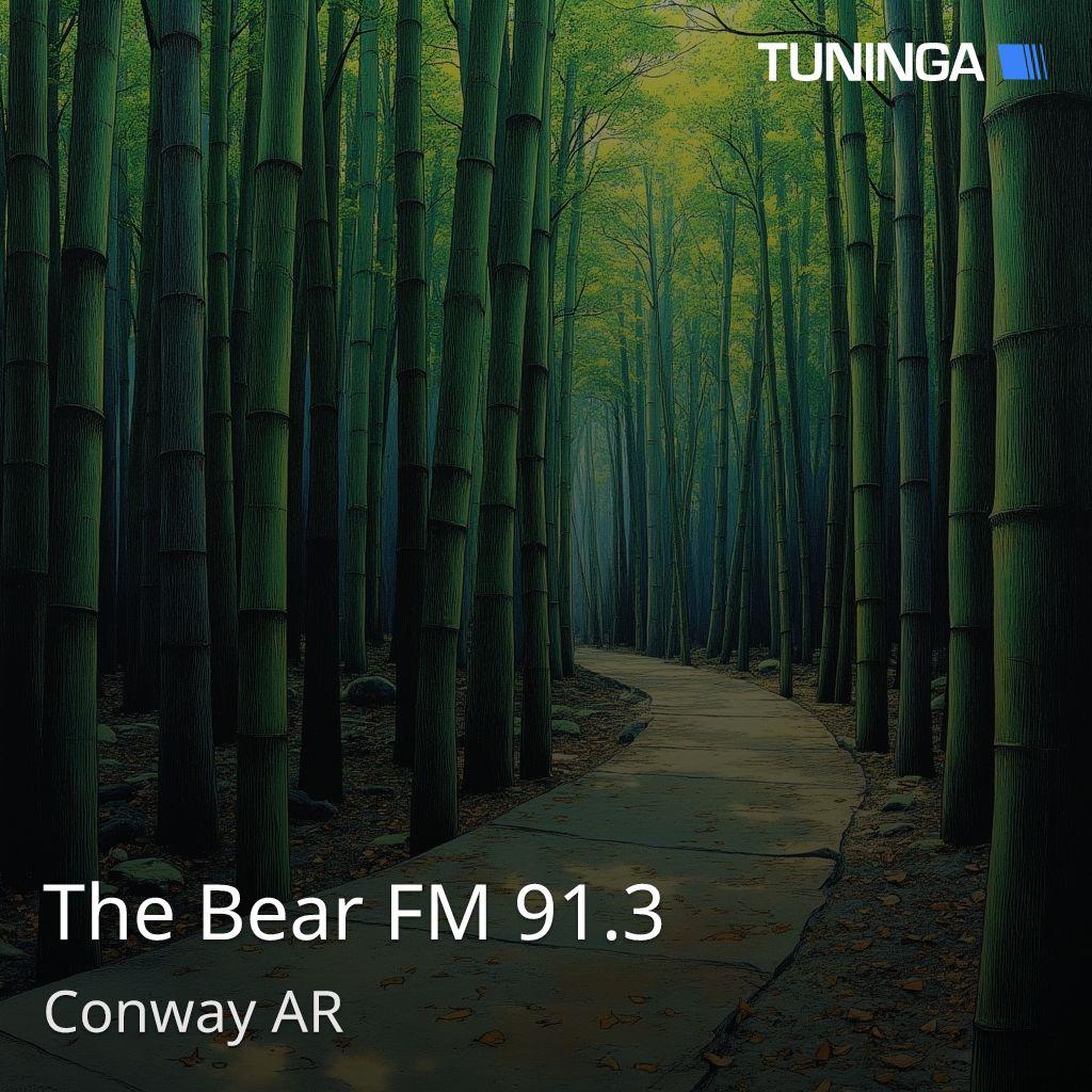 The Bear FM 91.3