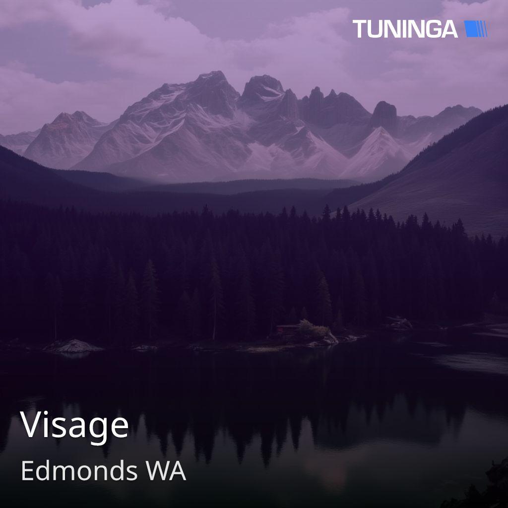 Visage