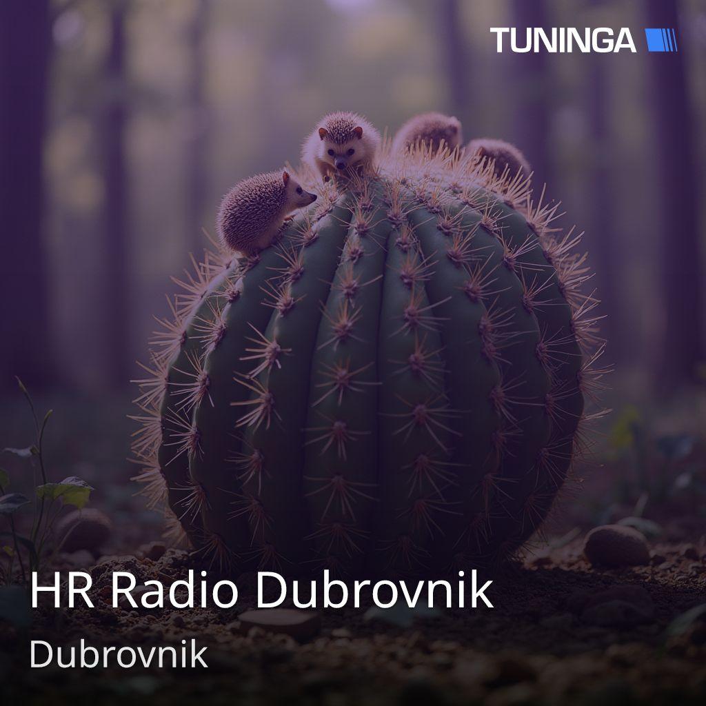 HR Radio Dubrovnik