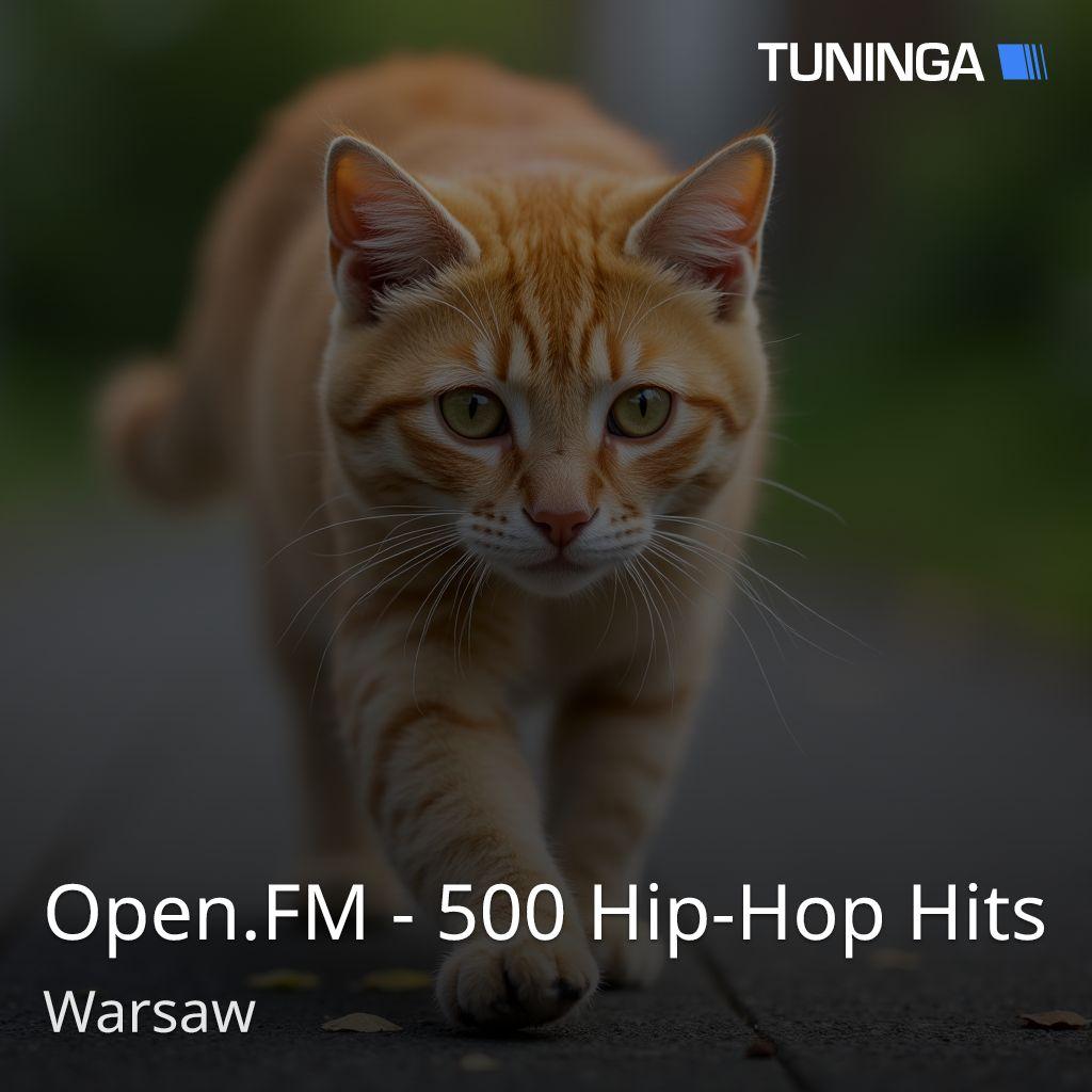 Open.FM - 500 Hip-Hop Hits