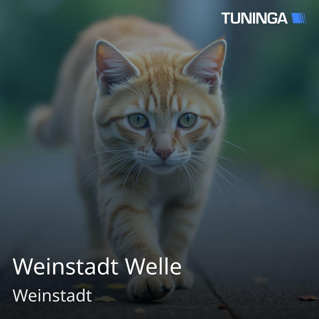 Weinstadt Welle