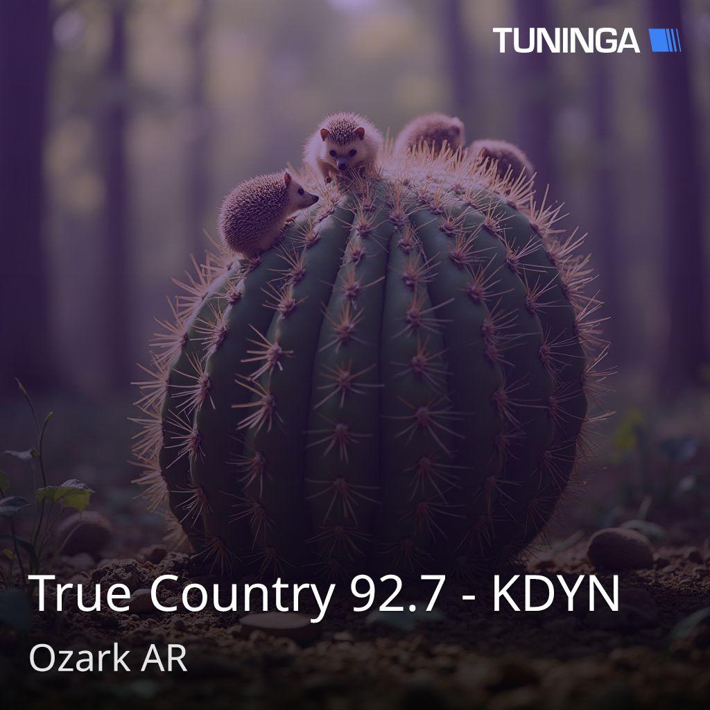 True Country 92.7 - KDYN