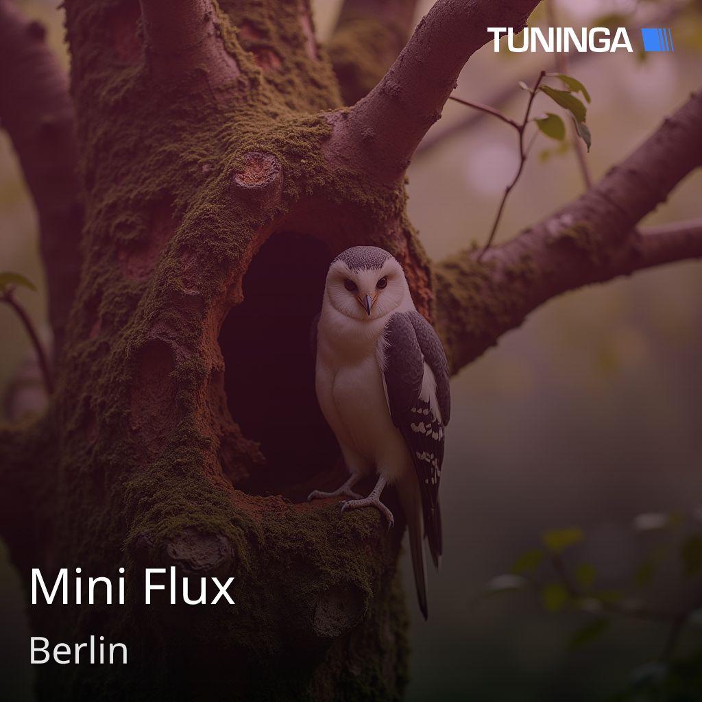 Mini Flux