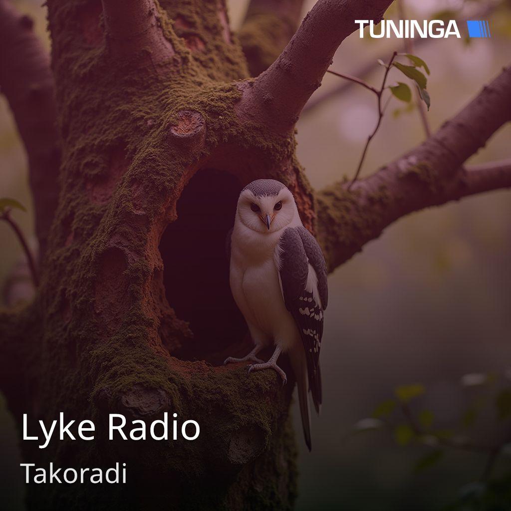 Lyke Radio