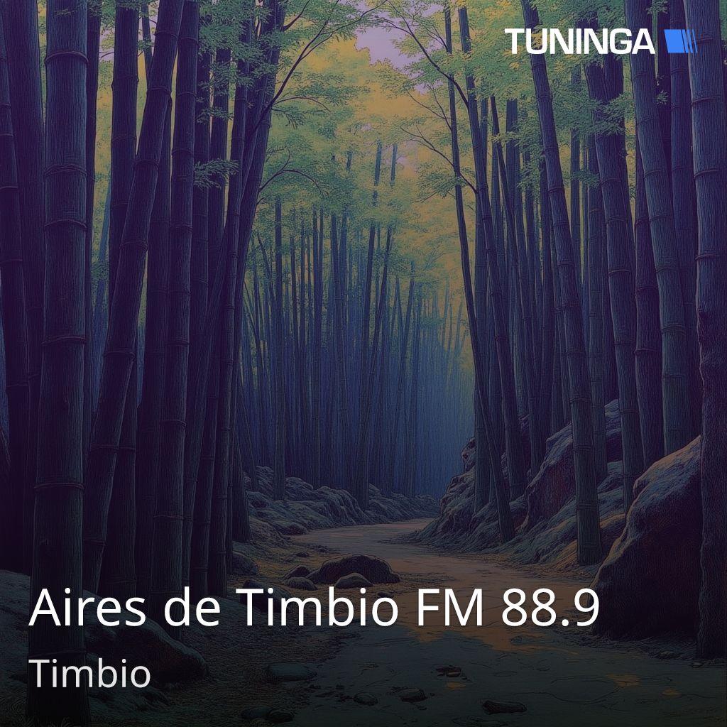 Aires de Timbio FM 88.9