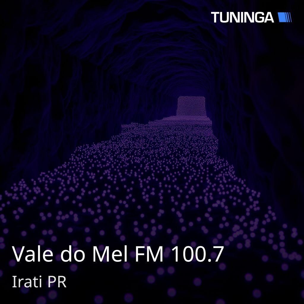 Vale do Mel FM 100.7