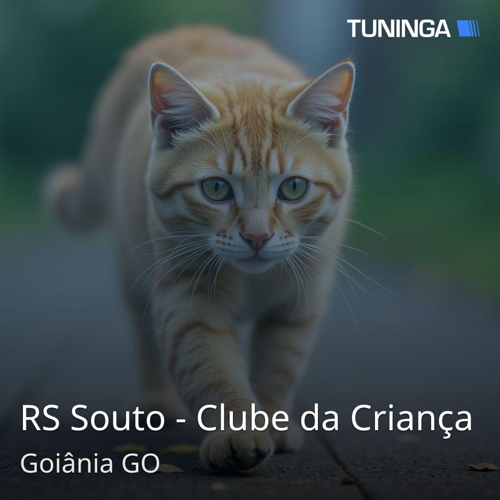 RS Souto - Clube da Criança