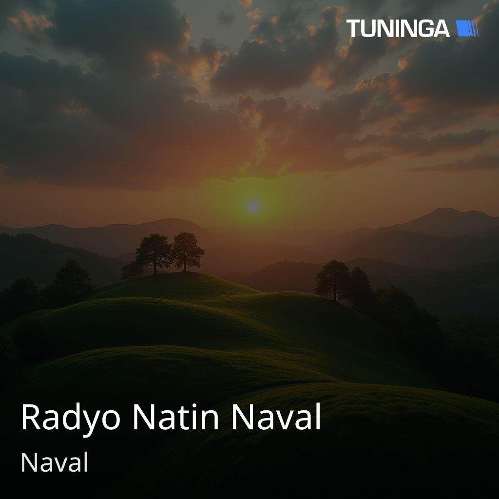 Radyo Natin Naval