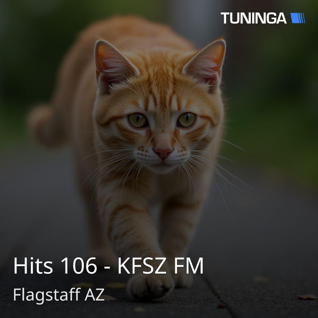 Hits 106 - KFSZ FM