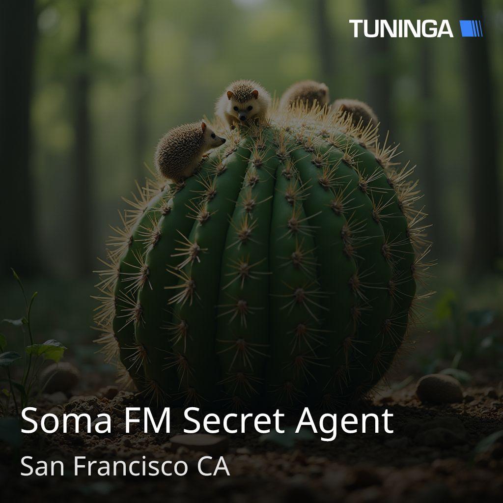 Soma FM Secret Agent
